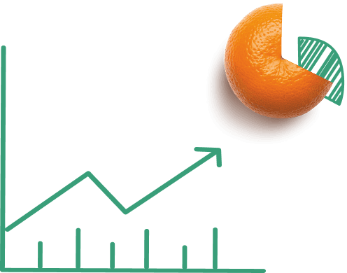 График роста